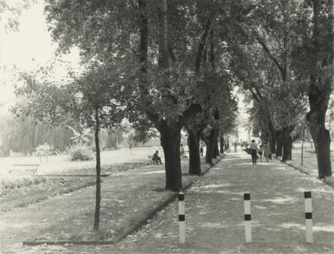 A balatonalmádi Központi Park sétánya